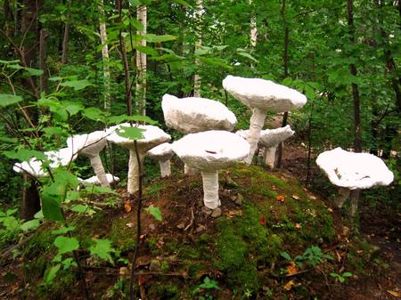 2011-9-29春香山アート 034.jpg